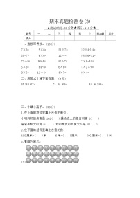 苏教二上 期末考试试卷（3） 试卷（有答案）