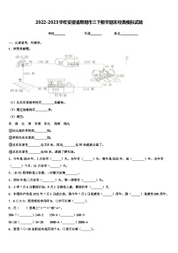 2022-2023学年安徽省阜阳市三下数学期末经典模拟试题含解析