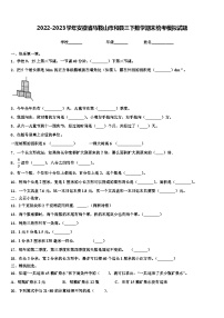 2022-2023学年安徽省马鞍山市和县三下数学期末统考模拟试题含解析