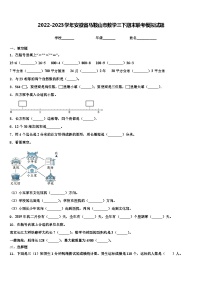 2022-2023学年安徽省马鞍山市数学三下期末联考模拟试题含解析