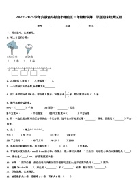 2022-2023学年安徽省马鞍山市雨山区三年级数学第二学期期末经典试题含解析