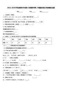 2022-2023学年德州市齐河县三年级数学第二学期期末复习检测模拟试题含解析