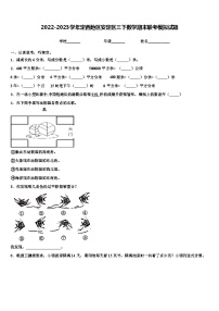 2022-2023学年定西地区安定区三下数学期末联考模拟试题含解析