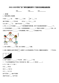 2022-2023学年广东广州市花都区数学三下期末质量跟踪监视试题含解析