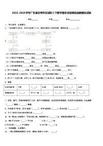 2022-2023学年广东省东莞市东城区三下数学期末质量跟踪监视模拟试题含解析