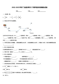 2022-2023学年广东省东莞市三下数学期末经典模拟试题含解析