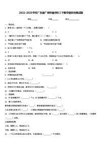 2022-2023学年广东省广州市南沙区三下数学期末经典试题含解析