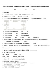 2022-2023学年广东省揭阳市产业转移工业园区三下数学期末学业质量监测模拟试题含解析