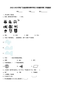 2022-2023学年广东省深圳市美中学校三年级数学第二学期期末含解析