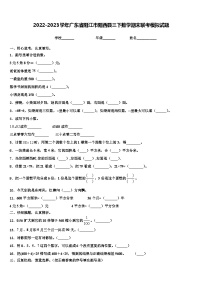 2022-2023学年广东省阳江市阳西县三下数学期末联考模拟试题含解析