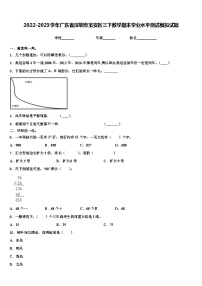 2022-2023学年广东省深圳市宝安区三下数学期末学业水平测试模拟试题含解析