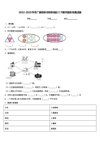 2022-2023学年广西桂林市桂林地区三下数学期末经典试题含解析