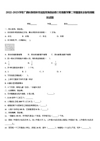 2022-2023学年广西壮族桂林市龙胜各族自治县三年级数学第二学期期末达标检测模拟试题含解析