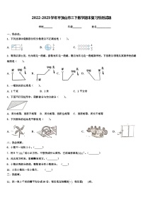 2022-2023学年平顶山市三下数学期末复习检测试题含解析