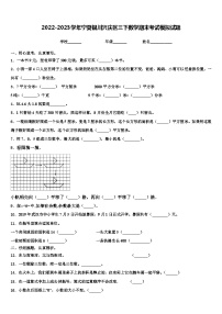 2022-2023学年宁夏银川兴庆区三下数学期末考试模拟试题含解析