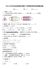 2022-2023学年山东省济南市济阳区三下数学期末教学质量检测模拟试题含解析