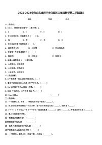 2022-2023学年山东省济宁市任城区三年级数学第二学期期末含解析