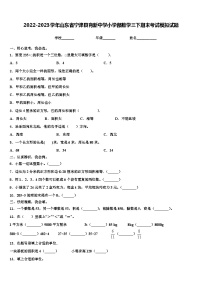 2022-2023学年山东省宁津县育新中学小学部数学三下期末考试模拟试题含解析