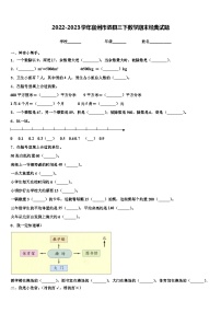 2022-2023学年宿州市泗县三下数学期末经典试题含解析