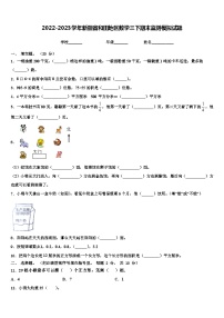 2022-2023学年新疆省和田地区数学三下期末监测模拟试题含解析