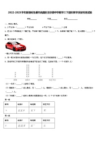 2022-2023学年新疆吐鲁番市高昌区亚尔镇中学数学三下期末教学质量检测试题含解析