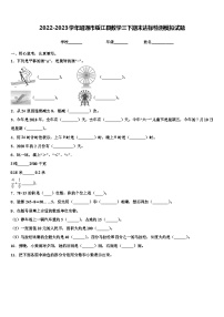 2022-2023学年昭通市绥江县数学三下期末达标检测模拟试题含解析