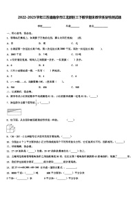 2022-2023学年江苏省南京市江北新区三下数学期末教学质量检测试题含解析