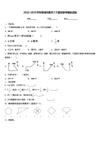 2022-2023学年桐城市数学三下期末联考模拟试题含解析