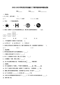 2022-2023学年武汉市汉南区三下数学期末联考模拟试题含解析