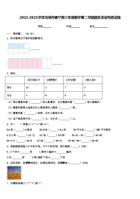 2022-2023学年沧州市肃宁县三年级数学第二学期期末质量检测试题含解析