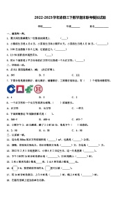 2022-2023学年沛县三下数学期末联考模拟试题含解析