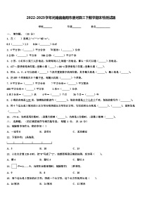 2022-2023学年河南省南阳市唐河县三下数学期末检测试题含解析