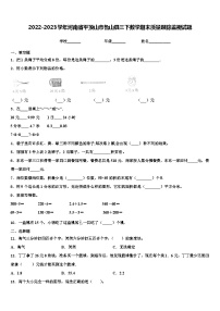 2022-2023学年河南省平顶山市鲁山县三下数学期末质量跟踪监视试题含解析