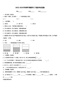 2022-2023学年泰宁县数学三下期末考试试题含解析