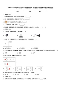 2022-2023学年栾川县三年级数学第二学期期末学业水平测试模拟试题含解析