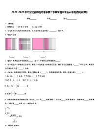 2022-2023学年河北省邢台市平乡县三下数学期末学业水平测试模拟试题含解析