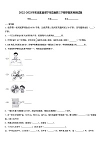 2022-2023学年湖北省咸宁市嘉鱼县三下数学期末预测试题含解析