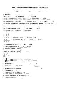 2022-2023学年甘肃省定西市漳县数学三下期末考试试题含解析