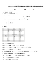 2022-2023学年漯河市临颍县三年级数学第二学期期末预测试题含解析