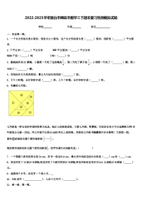 2022-2023学年烟台市栖霞市数学三下期末复习检测模拟试题含解析