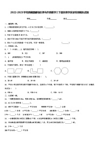 2022-2023学年西藏昌都地区类乌齐县数学三下期末教学质量检测模拟试题含解析