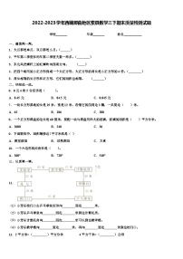 2022-2023学年西藏那曲地区索县数学三下期末质量检测试题含解析