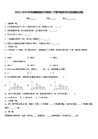 2022-2023学年西藏那曲市巴青县三下数学期末综合测试模拟试题含解析