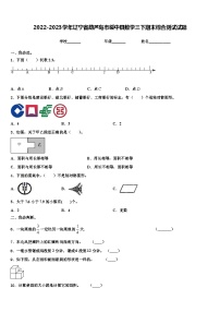 2022-2023学年辽宁省葫芦岛市绥中县数学三下期末综合测试试题含解析