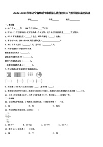 2022-2023学年辽宁省阜新市阜新蒙古族自治县三下数学期末监测试题含解析