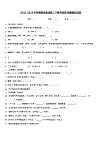 2022-2023学年郴州市临武县三下数学期末经典模拟试题含解析