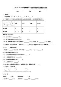 2022-2023学年郴州市三下数学期末监测模拟试题含解析