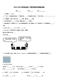 2022-2023学年铅山县三下数学期末统考模拟试题含解析