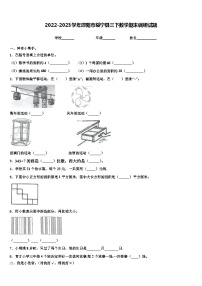 2022-2023学年邵阳市绥宁县三下数学期末调研试题含解析