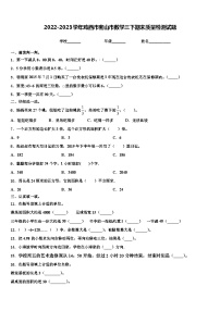 2022-2023学年鸡西市密山市数学三下期末质量检测试题含解析